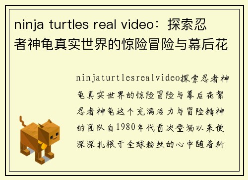 ninja turtles real video：探索忍者神龟真实世界的惊险冒险与幕后花絮